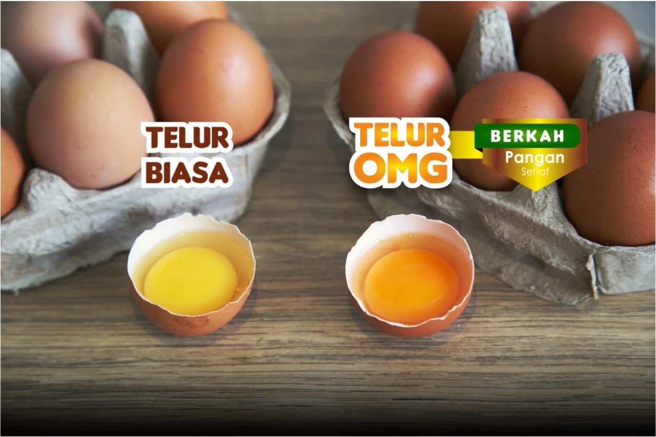 Telur Omega 3,6,9